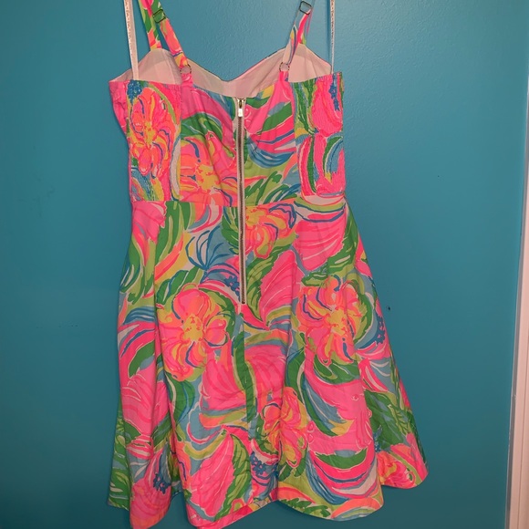 Colorful Lilly Pulitzer Dress - Picture 3 of 6